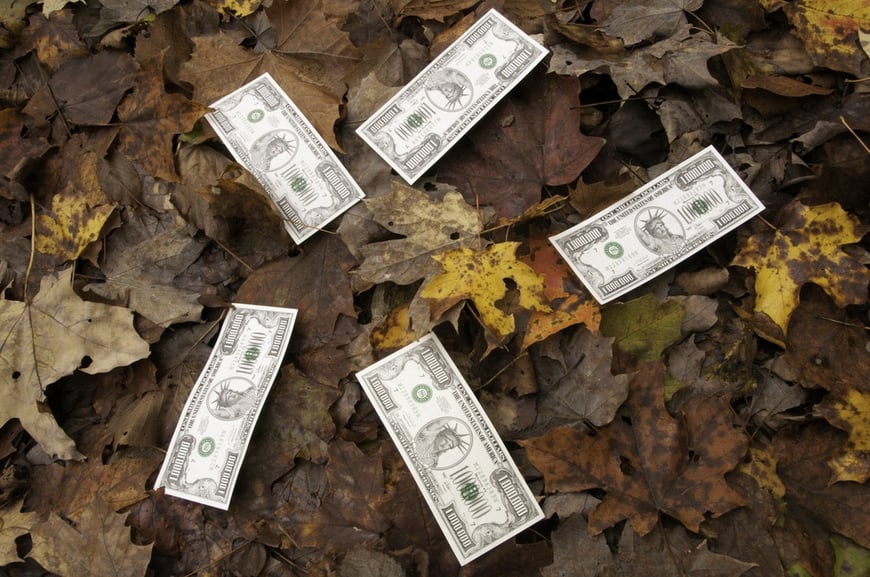 Play money grown on trees Five million-dollar bills on top of fallen autumn leaves.jpeg